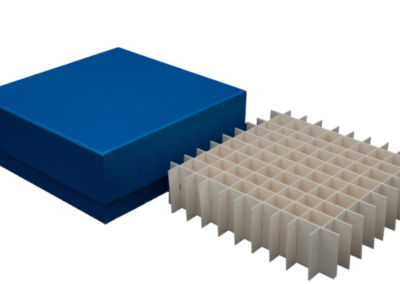 Blaue Kryobox aus Karton mit Rastereinsatz 10x10