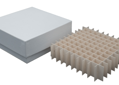 Weiße Kryobox aus Karton mit Rastereinsatz 10x10