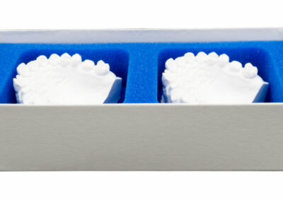 Dental Verpackung für zwei Zahnmodelle und Zahnprothesen ohne Deckel