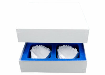 Dental Verpackung für vier Zahnmodelle und Zahnprothesen